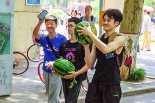 吃瓜厦门学院,揭秘吃瓜背后的厦门学院风云录