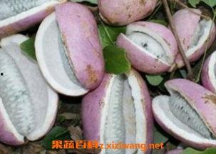 恩施最新吃瓜,最新“吃瓜”事件揭秘！