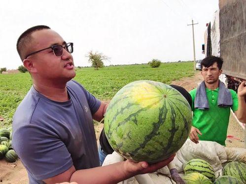乌鲁木齐吃瓜总结,一瓜在手，尽享丝路风情