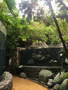 瓜镇码头附近吃