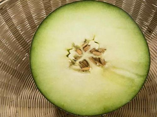 江子吃蜜瓜,甜蜜时光的味蕾之旅