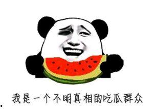 吃瓜群众的方言,方言里的吃瓜故事”