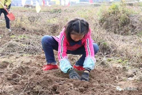 触星山脉吃瓜,探寻神秘星河的瓜界传奇