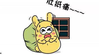 吃瓜群众取暖计划,冬日里的温暖守护